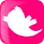 TourMiss on Twitter Twitter